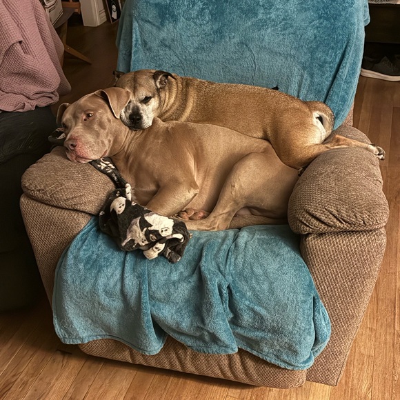 🫧🍄L.  I.  V.  E.🍄🫧 - Picture 3 of 14